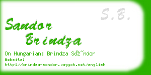 sandor brindza business card